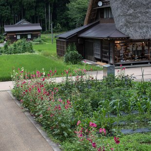 五箇山菅沼合掌造り集落4