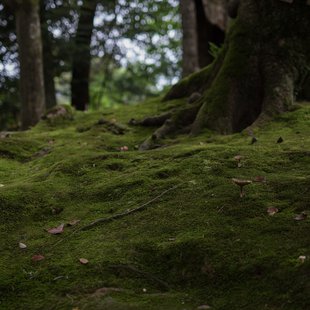 金沢城公園・兼六園周辺4-堤亭