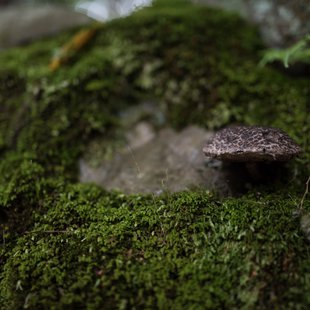 金沢城公園・兼六園周辺5