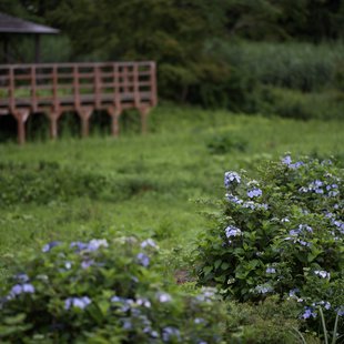 白髯神社(鬼無里)周辺2