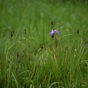 白髯神社(鬼無里)周辺5