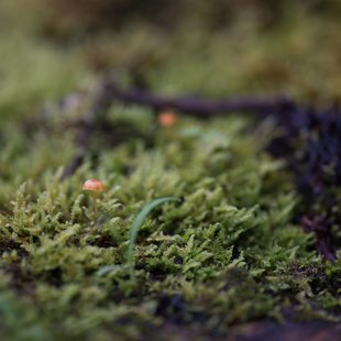 白髯神社(鬼無里)周辺6