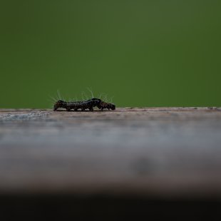 白髯神社(鬼無里)周辺7