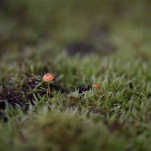 白髯神社(鬼無里)周辺8