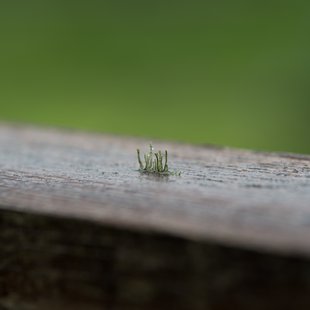 白髯神社(鬼無里)周辺9