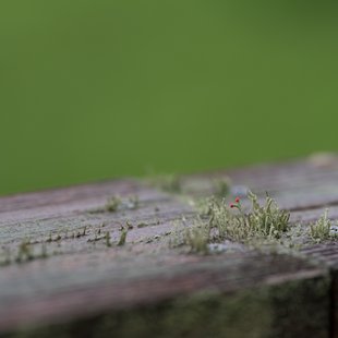 白髯神社(鬼無里)周辺10