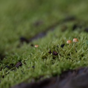 白髯神社(鬼無里)周辺11