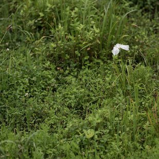 白髯神社(鬼無里)周辺14