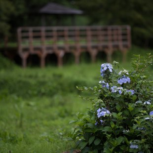 白髯神社(鬼無里)周辺15