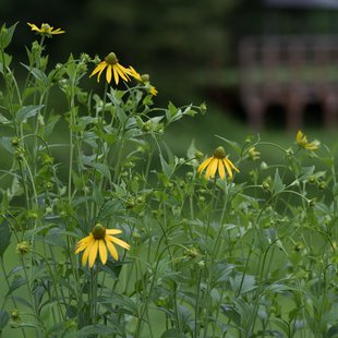 白髯神社(鬼無里)周辺16
