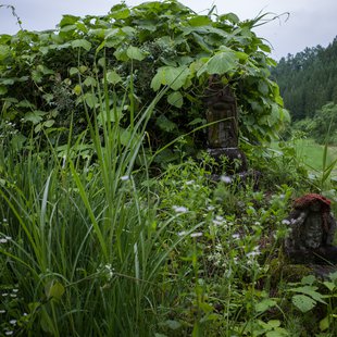 白髯神社(鬼無里)周辺17