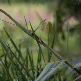白髯神社(鬼無里)周辺18