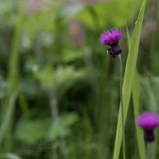 白髯神社(鬼無里)周辺21