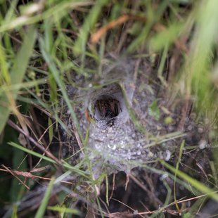 白髯神社(鬼無里)周辺22