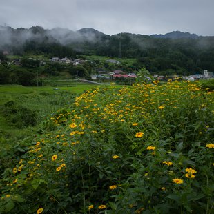 白髯神社(鬼無里)周辺24