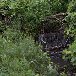 白髯神社(鬼無里)周辺25