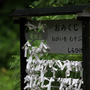 白髯神社(鬼無里)周辺28