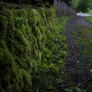 白髯神社(鬼無里)周辺29