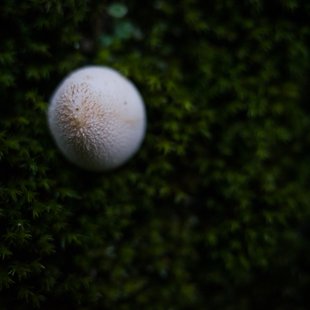 白髯神社(鬼無里)周辺30