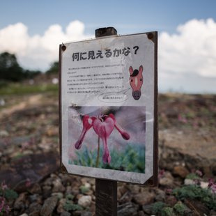 白馬五竜高山植物園15