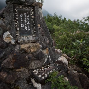 白馬五竜高山植物園19