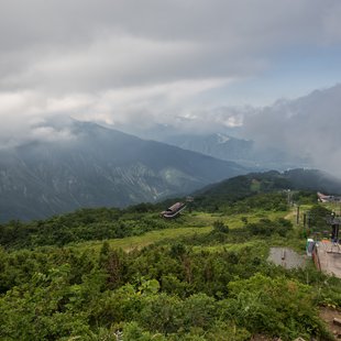 白馬五竜高山植物園20