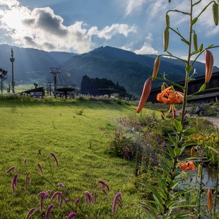 白馬五竜高山植物園23