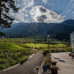 白馬五竜高山植物園25