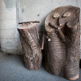 白馬五竜高山植物園27