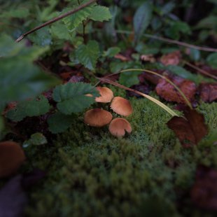 六合、野反湖13