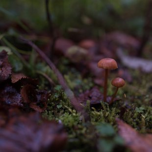 六合、野反湖15