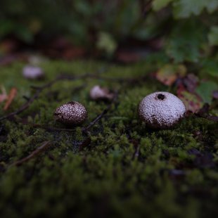 六合、野反湖16