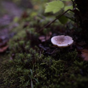 六合、野反湖17