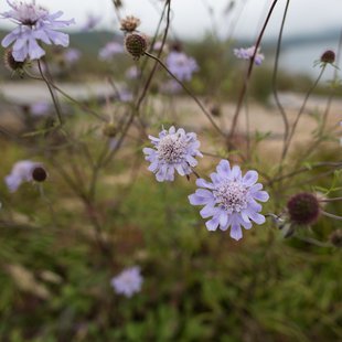 六合、野反湖21