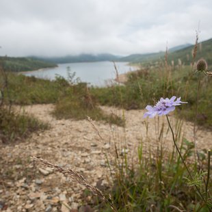 六合、野反湖22