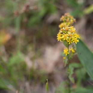 六合、野反湖25