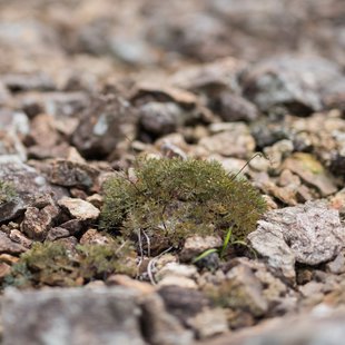 六合、野反湖26