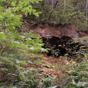 六合チャツボミゴケ生物群集の鉄鉱生成地1