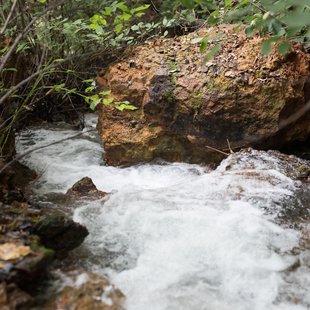 六合チャツボミゴケ生物群集の鉄鉱生成地2
