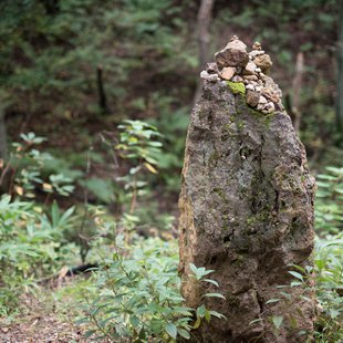 六合チャツボミゴケ生物群集の鉄鉱生成地3