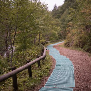 六合チャツボミゴケ生物群集の鉄鉱生成地4