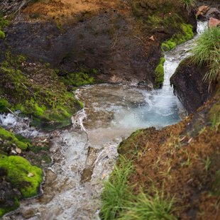 六合チャツボミゴケ生物群集の鉄鉱生成地7