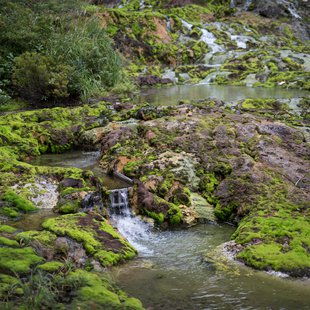 六合チャツボミゴケ生物群集の鉄鉱生成地9