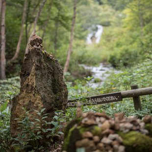 六合チャツボミゴケ生物群集の鉄鉱生成地13