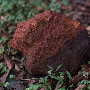 六合チャツボミゴケ生物群集の鉄鉱生成地18