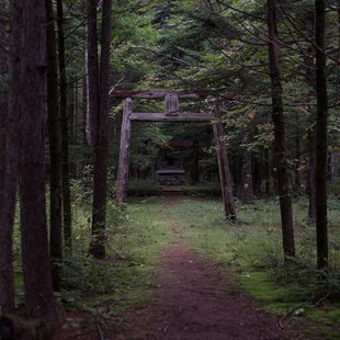 六合チャツボミゴケ生物群集の鉄鉱生成地22