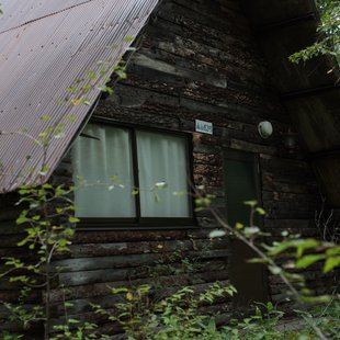 六合チャツボミゴケ生物群集の鉄鉱生成地23