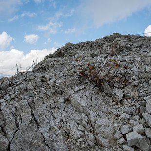 白馬八方尾根12