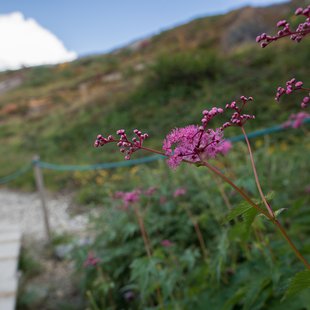 白馬八方尾根15