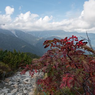 白馬八方尾根17